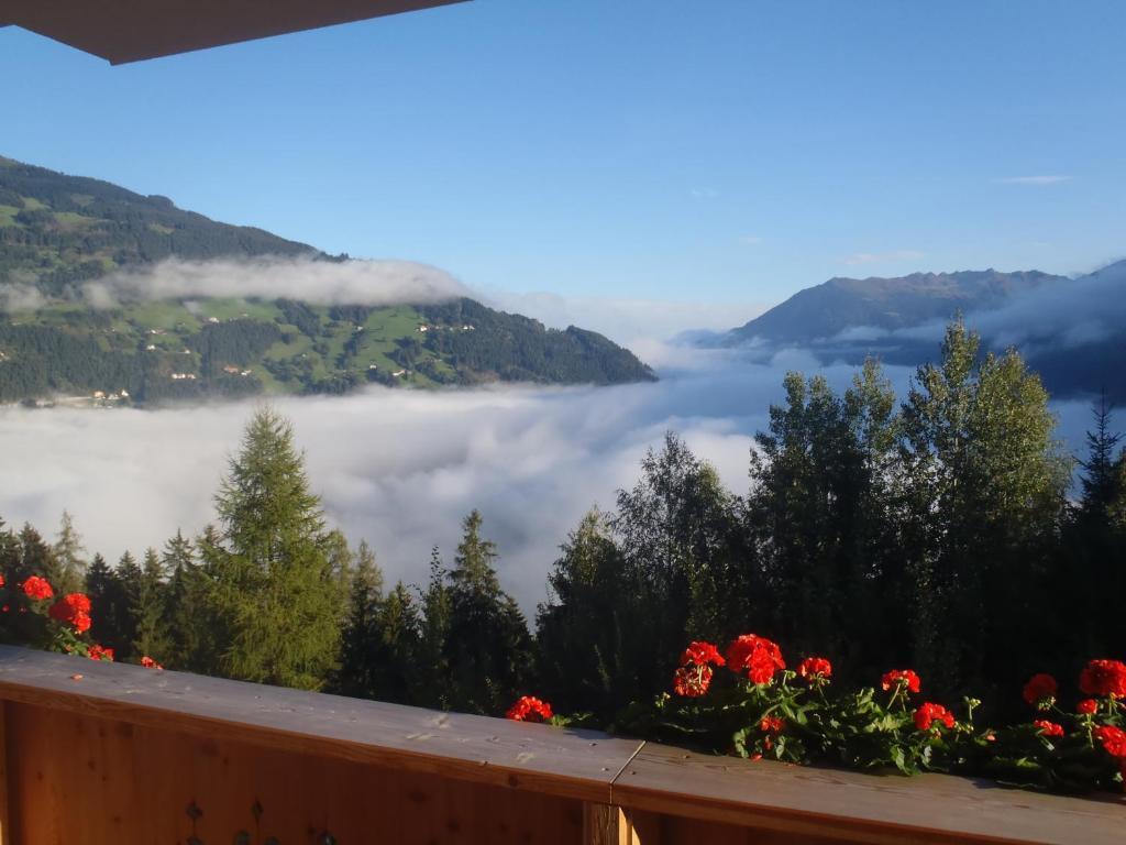 Landhaus Alpenjaeger Hainzenberg Kamer foto